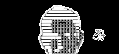 person